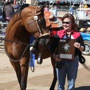 2013 Scottsdale Arabian Horse Show