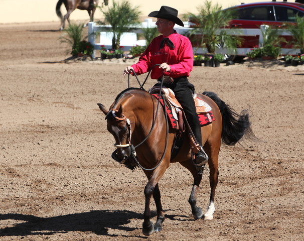 2013 Scottsdale Arabian Horse Show