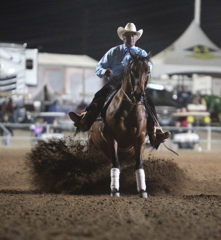 2013 Scottsdale Arabian Horse Show