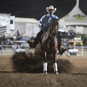 2013 Scottsdale Arabian Horse Show