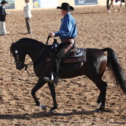 2013 Scottsdale Arabian Horse Show