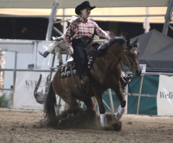 2013 Scottsdale Arabian Horse Show