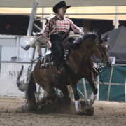 2013 Scottsdale Arabian Horse Show