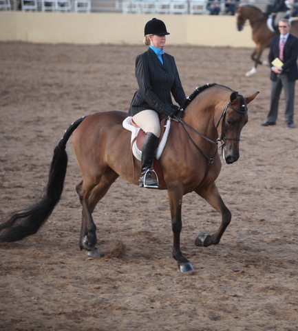 2013 Scottsdale Arabian Horse Show