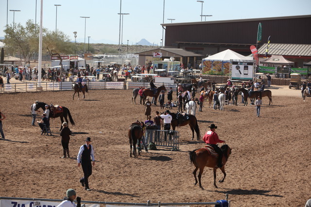 2013 Scottsdale Arabian Horse Show