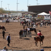 2013 Scottsdale Arabian Horse Show