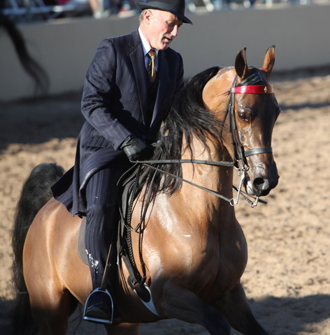 2013 Scottsdale Arabian Horse Show