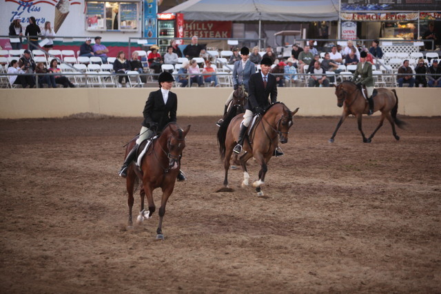 2013 Scottsdale Arabian Horse Show