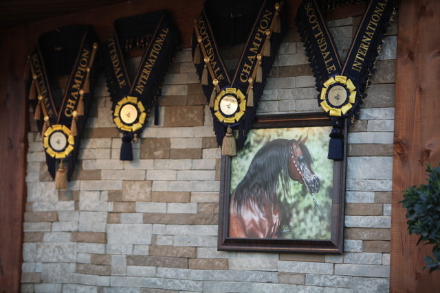 2013 Scottsdale Arabian Horse Show