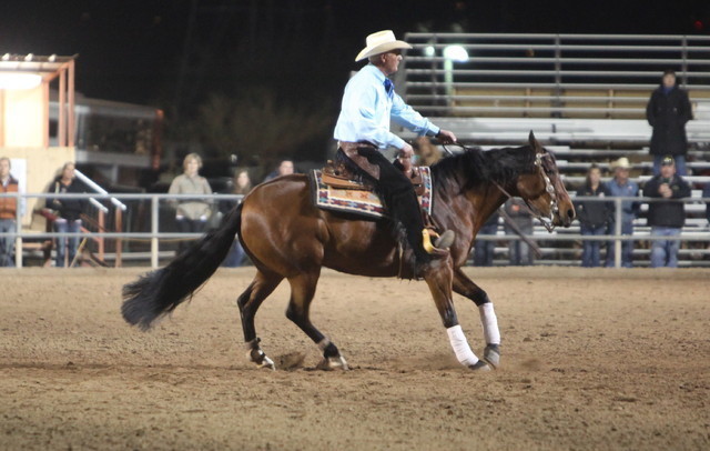 2013 Scottsdale Arabian Horse Show