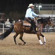 2013 Scottsdale Arabian Horse Show