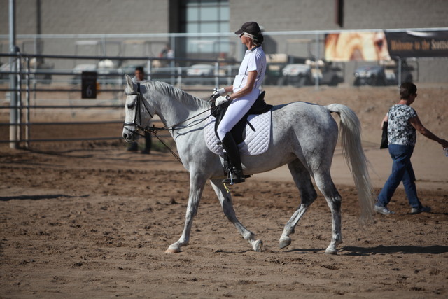 2013 Scottsdale Arabian Horse Show