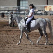 2013 Scottsdale Arabian Horse Show