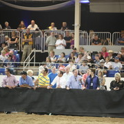 2013 Scottsdale Arabian Horse Show