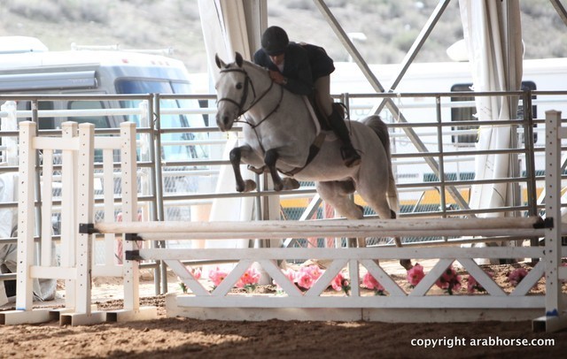 2013 Scottsdale Arabian Horse Show