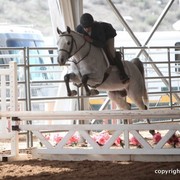 2013 Scottsdale Arabian Horse Show