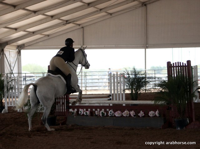 2013 Scottsdale Arabian Horse Show