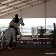 2013 Scottsdale Arabian Horse Show