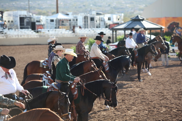 2013 Scottsdale Arabian Horse Show