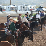 2013 Scottsdale Arabian Horse Show