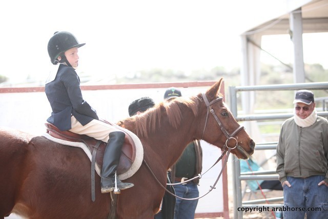 2013 Scottsdale Arabian Horse Show