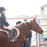 2013 Scottsdale Arabian Horse Show
