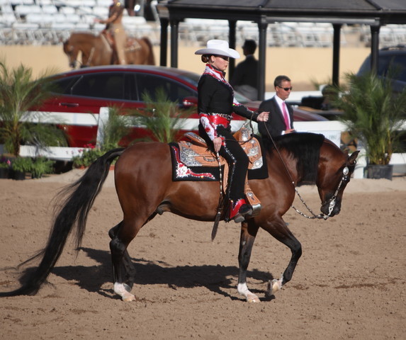 2013 Scottsdale Arabian Horse Show