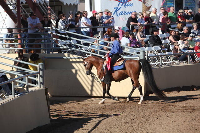 2013 Scottsdale Arabian Horse Show
