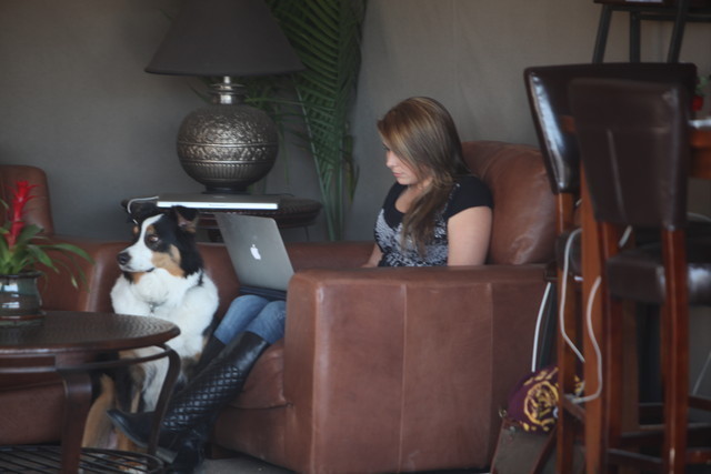 2013 Scottsdale Arabian Horse Show