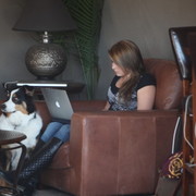 2013 Scottsdale Arabian Horse Show