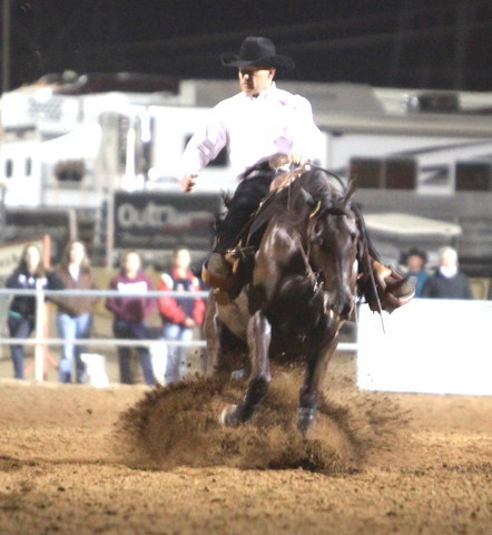 2013 Scottsdale Arabian Horse Show
