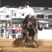 2013 Scottsdale Arabian Horse Show