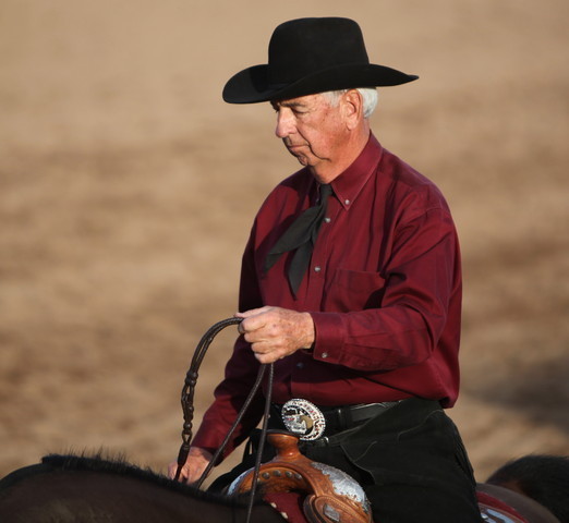 2013 Scottsdale Arabian Horse Show