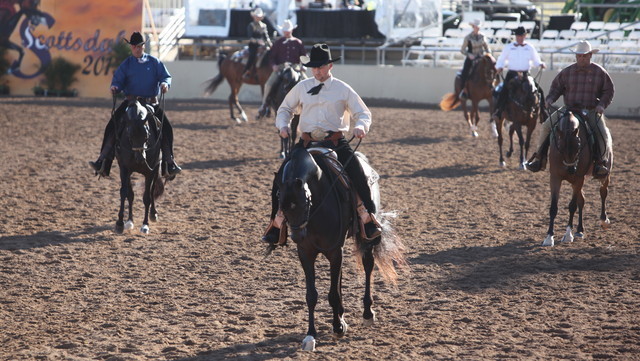 2013 Scottsdale Arabian Horse Show