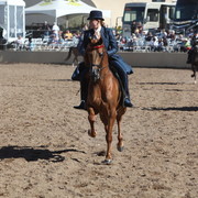 2013 Scottsdale Arabian Horse Show
