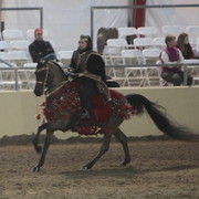 2013 Scottsdale Arabian Horse Show