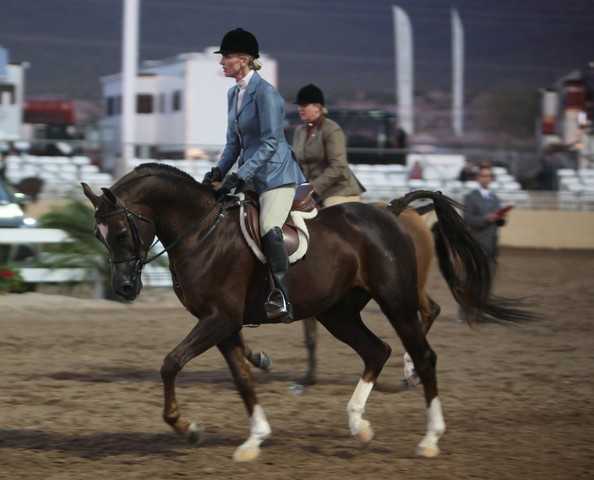 2013 Scottsdale Arabian Horse Show