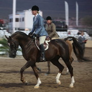 2013 Scottsdale Arabian Horse Show