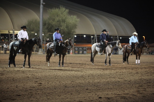 2013 Scottsdale Arabian Horse Show