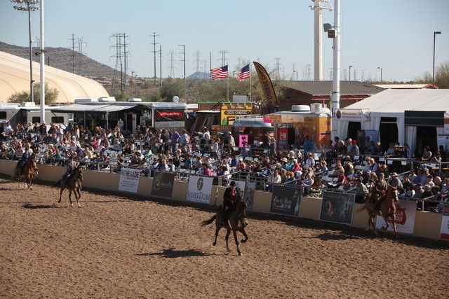 2013 Scottsdale Arabian Horse Show