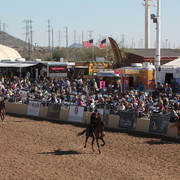 2013 Scottsdale Arabian Horse Show