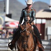 2013 Scottsdale Arabian Horse Show