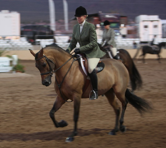 2013 Scottsdale Arabian Horse Show