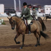 2013 Scottsdale Arabian Horse Show