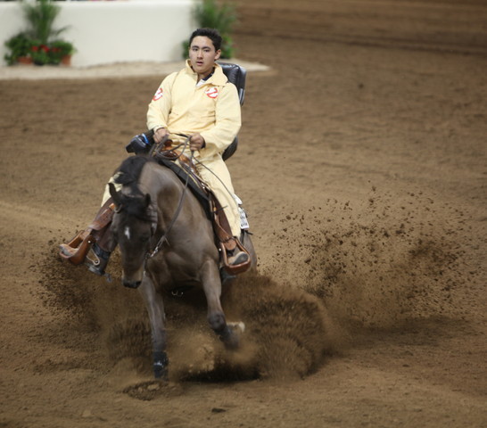 2013 Scottsdale Arabian Horse Show