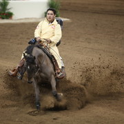 2013 Scottsdale Arabian Horse Show