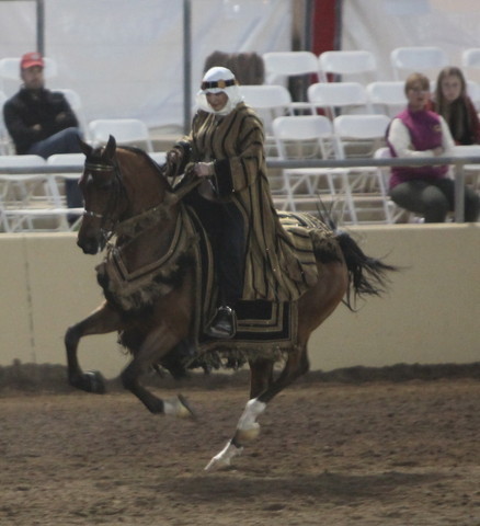 2013 Scottsdale Arabian Horse Show