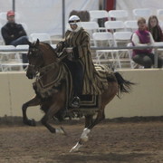2013 Scottsdale Arabian Horse Show
