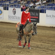 2013 Scottsdale Arabian Horse Show