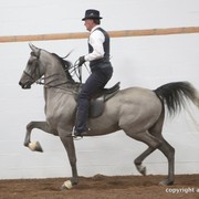 2013 Stachowski Select Sale